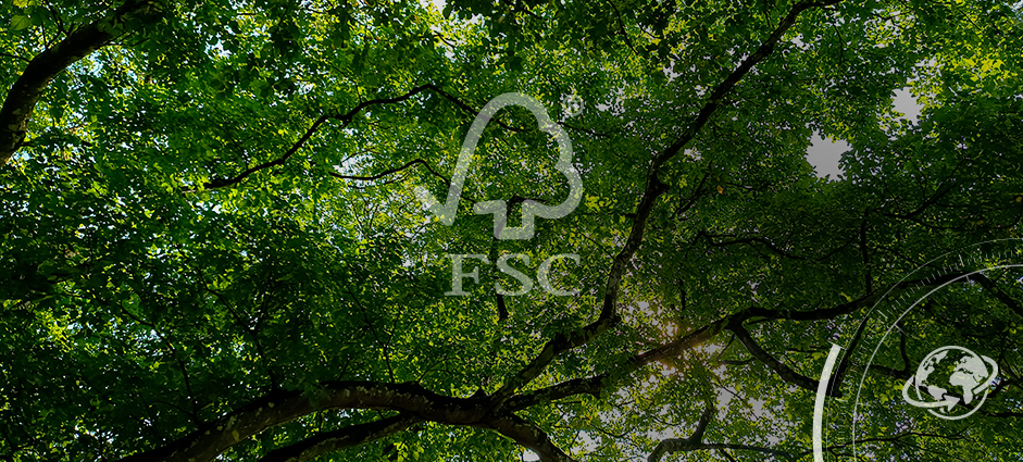 Suppliers with FSC